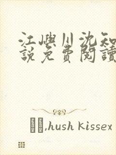 江屿川沈知意小说免费阅读