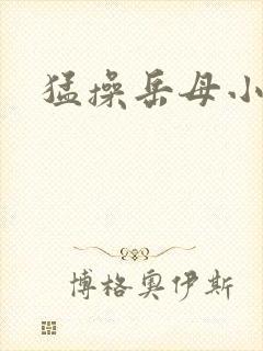 猛操岳母小说