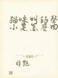 猫咪叫的声音很小是怎么回事封面