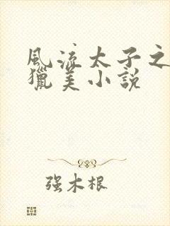 风流太子之少年猎美小说