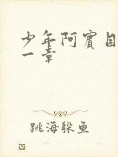 少年阿宾目录第一章