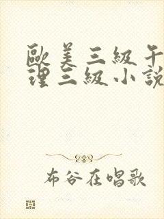 欧美三级午夜伦理三级小说封面