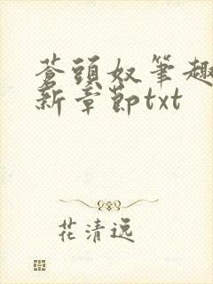 苍头奴笔趣阁最新章节txt封面