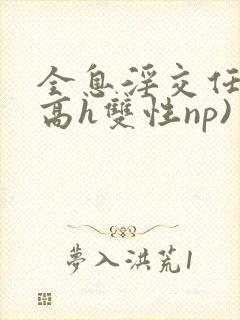 全息淫交任务(高h双性np)