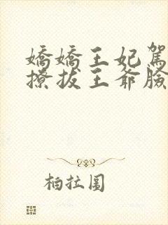 娇娇王妃驾到,撩拔王爷脸红心跳