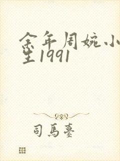 余年周婉小说重生1991封面