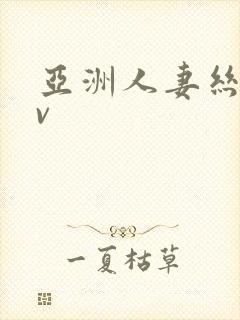 亚洲人妻丝袜av