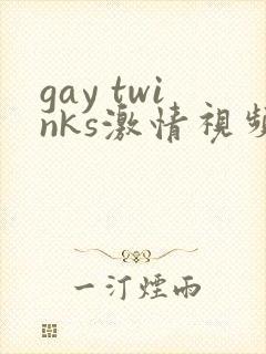 gay twinks激情视频