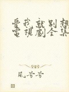 爱我就别想太多电视剧全集在线免费观看