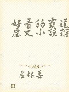 好看的霸道总裁虐文小说推荐封面