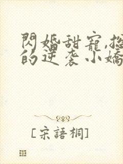 闪婚甜宠,总裁的逆袭小娇妻封面