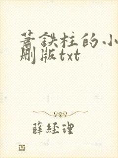 萧铁柱的小说未删版txt