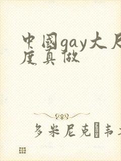 中国gay大尺度真做封面