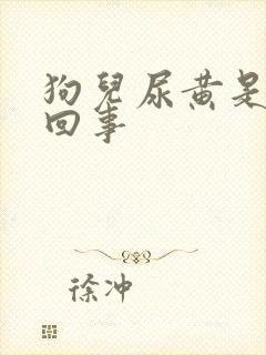 狗儿尿黄是怎么回事