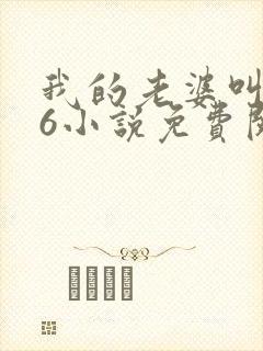 我的老婆叫武艳6小说免费阅读封面