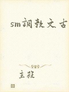 sm调教文古代封面