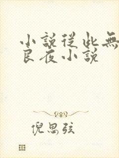 小说从此无心爱良夜小说