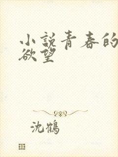 小说青春的那些欲望
