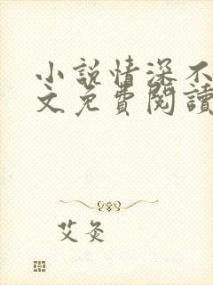 小说情深不负全文免费阅读封面