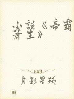 小说《帝霸厌笔萧生》