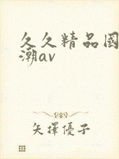 久久精品国产高潮av封面