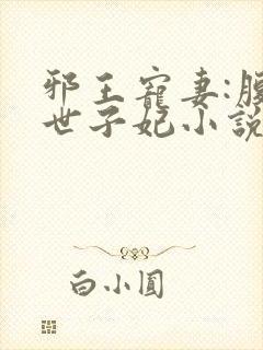 邪王宠妻:腹黑世子妃小说封面