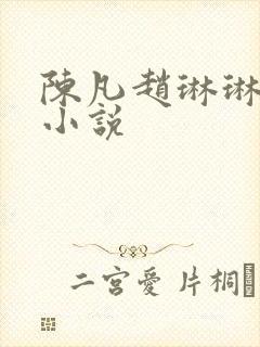 陈凡赵琳琳什么小说