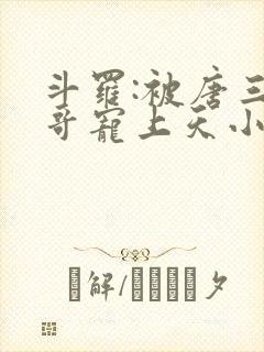 斗罗:被唐三哥哥宠上天小说