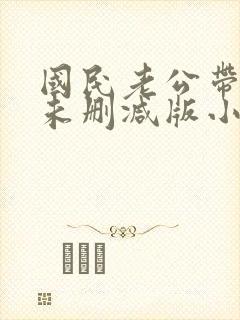 国民老公带回家未删减版小说