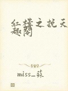 红楼之挽天倾笔趣阁