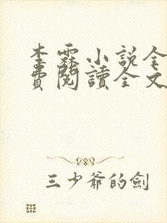 李霖小说全部免费阅读全文