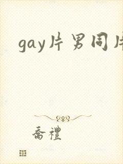 gay片男同片封面