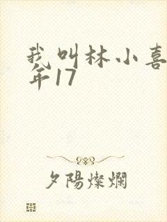 我叫林小喜 今年17