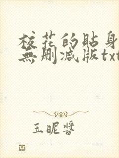 校花的贴身高手无删减版txt下载