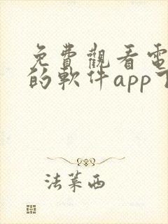 免费观看电视剧的软件app下载