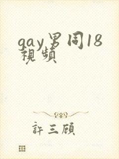 gay男同18视频