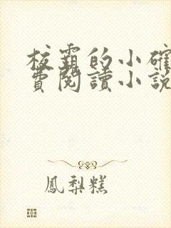 校霸的小确幸免费阅读小说