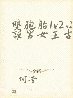 双胞胎1v2小说男女主古言