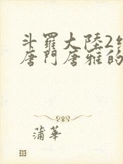 斗罗大陆2绝世唐门唐雅的身份