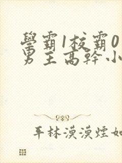 学霸1校霸0双男主高干小说