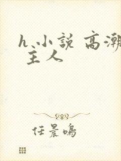 h 小说 高潮 主人