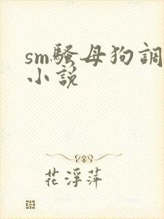 sm骚母狗调教小说