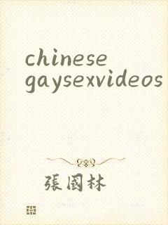chinesegaysexvideos