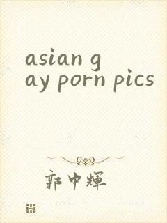 asian gay porn pics封面