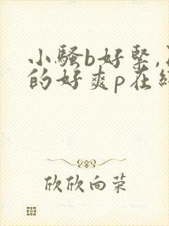 小骚b好紧,日的好爽p在线观看视频