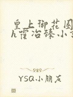 皇上御花园hlh霍冶臻小说