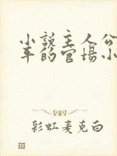 小说主人公叫周平的官场小说封面