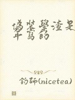 伪装学渣是哪一年写的