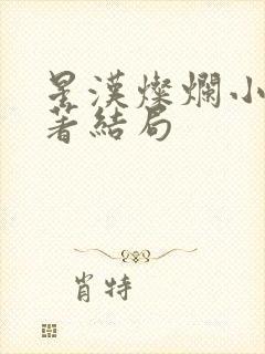 星汉灿烂小说原著结局封面