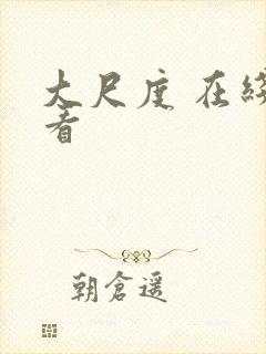 大尺度 在线观看